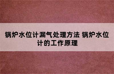 锅炉水位计漏气处理方法 锅炉水位计的工作原理